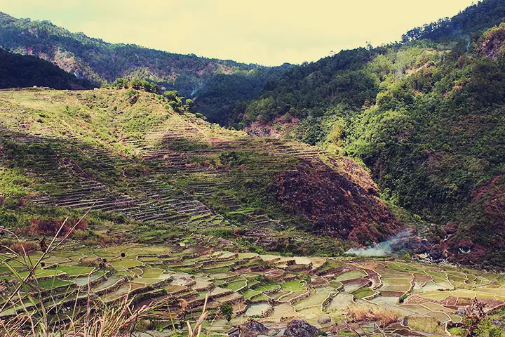 Magnífica vista de los arrozales.