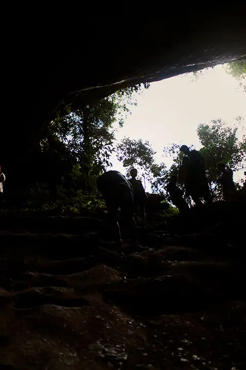 Foto desde el interior de la cueva hacia afuera. Solo se ven las siluetas negras de árboles.