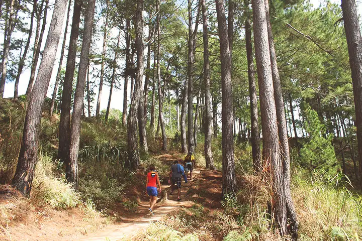 De regreso, subiendo el sendero rodeado de árboles.
