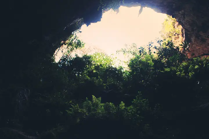 El ojo de la cueva se hace más grande a medida que vamos saliendo. Hay muchos matorrales verdes rodeando la entrada.